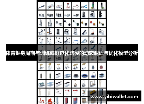 体育健身周期与训练偏好进化路径的动态调适与优化模型分析