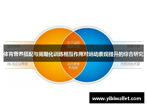 体育营养搭配与周期化训练相互作用对运动表现提升的综合研究